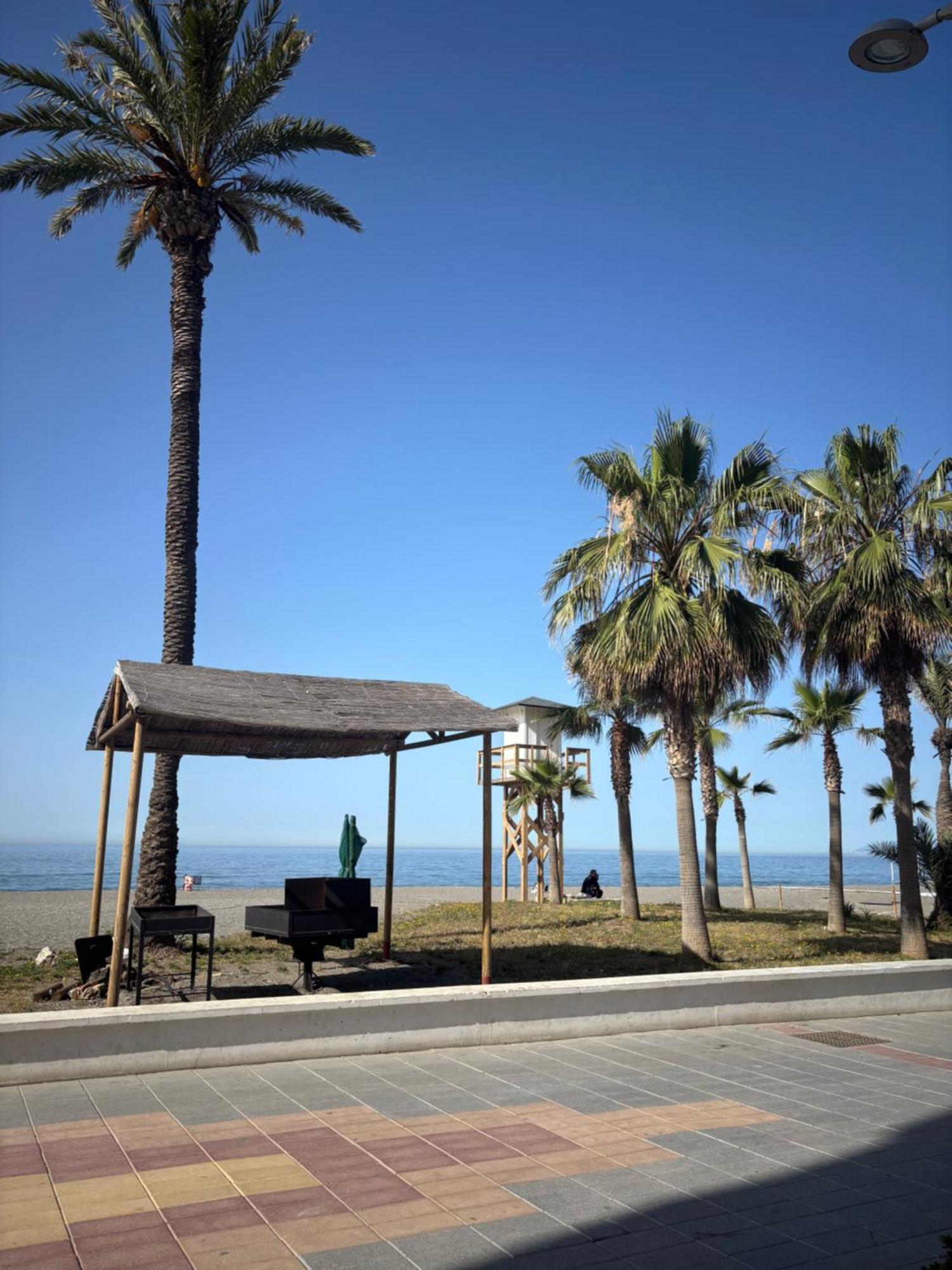 Apartment Torcasol Málaga